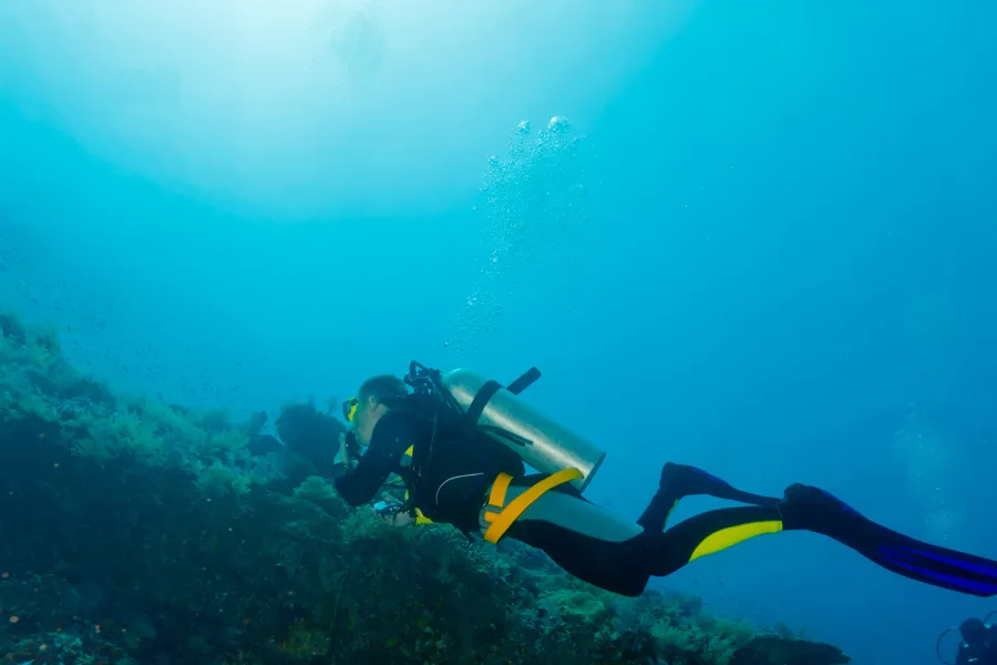 En dykker under vann