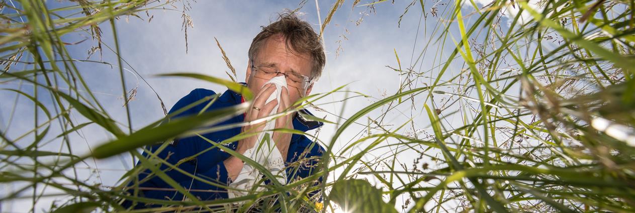 Eldre mann lent over gresstrå nyser inn i lommetørkle. Foto