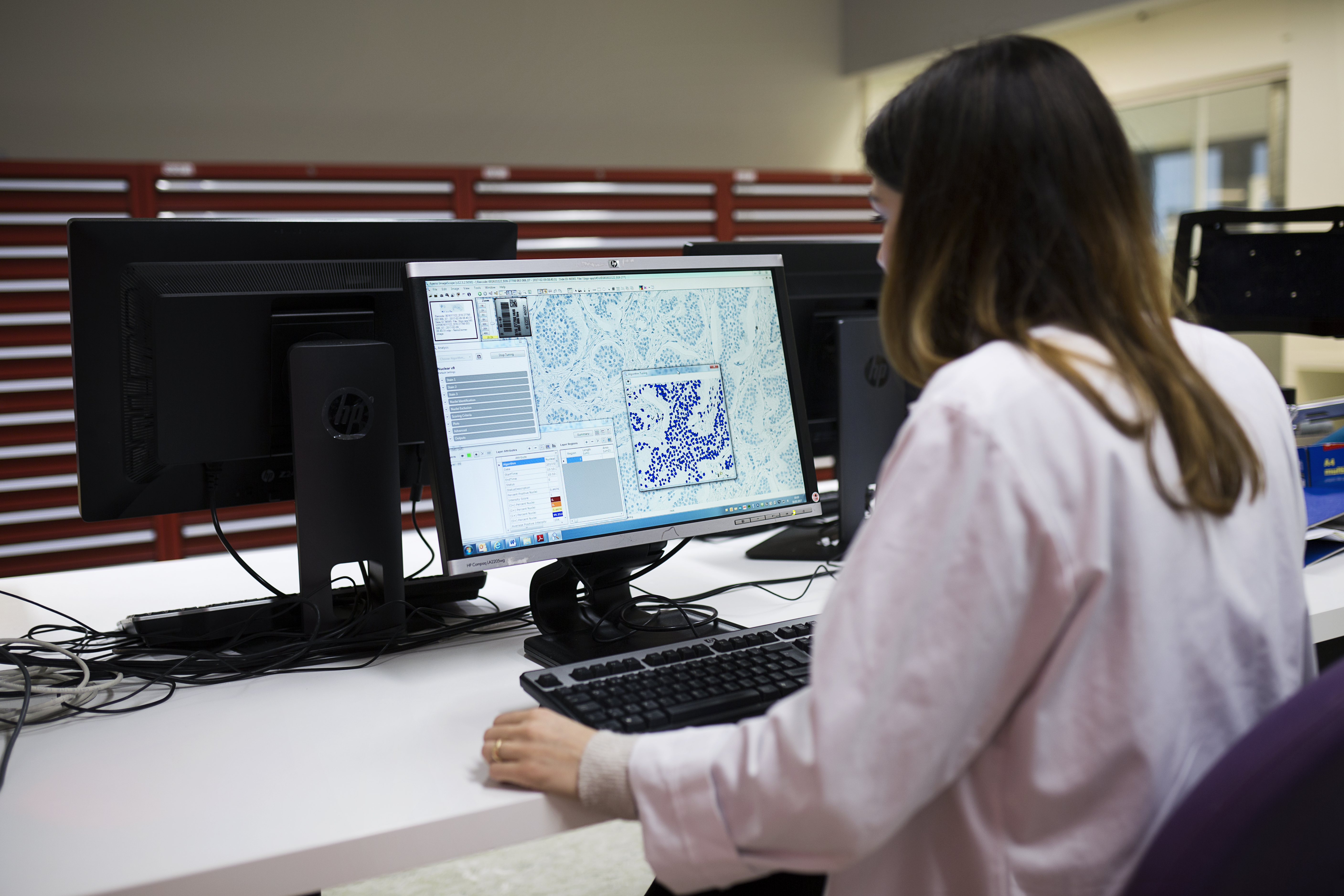 Woman sitting in front of computer at desk. Photo