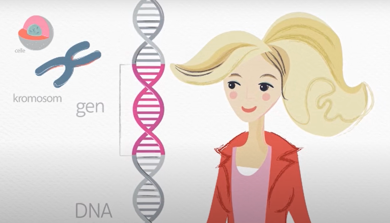 Kvinne og modeller av celle, kromosom, gen og DNA. Illustrasjon