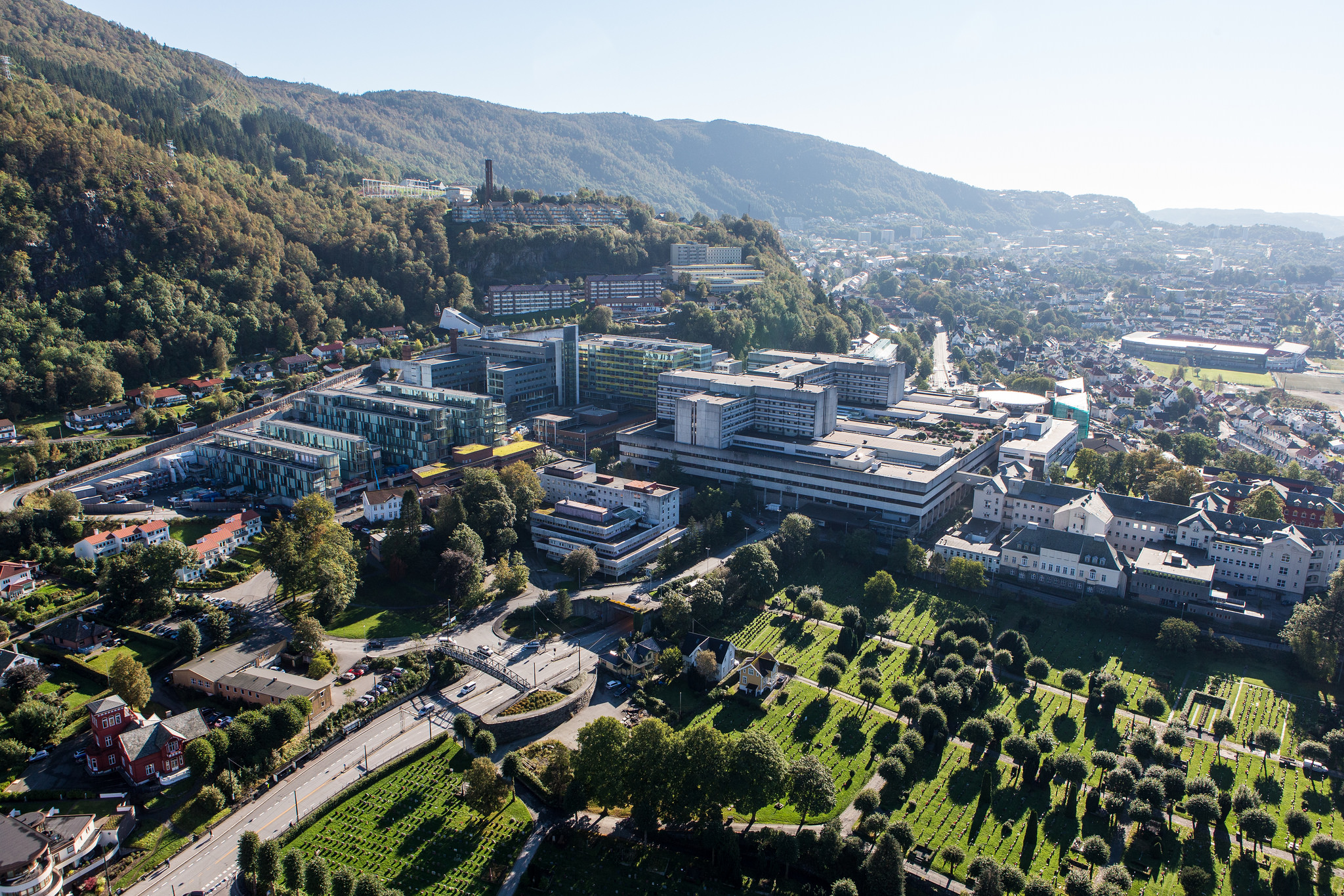 A city with many buildings and trees