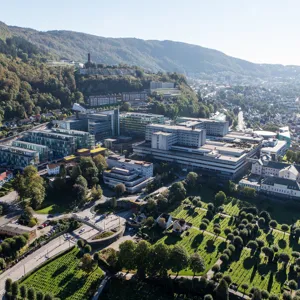 A city with many buildings and trees