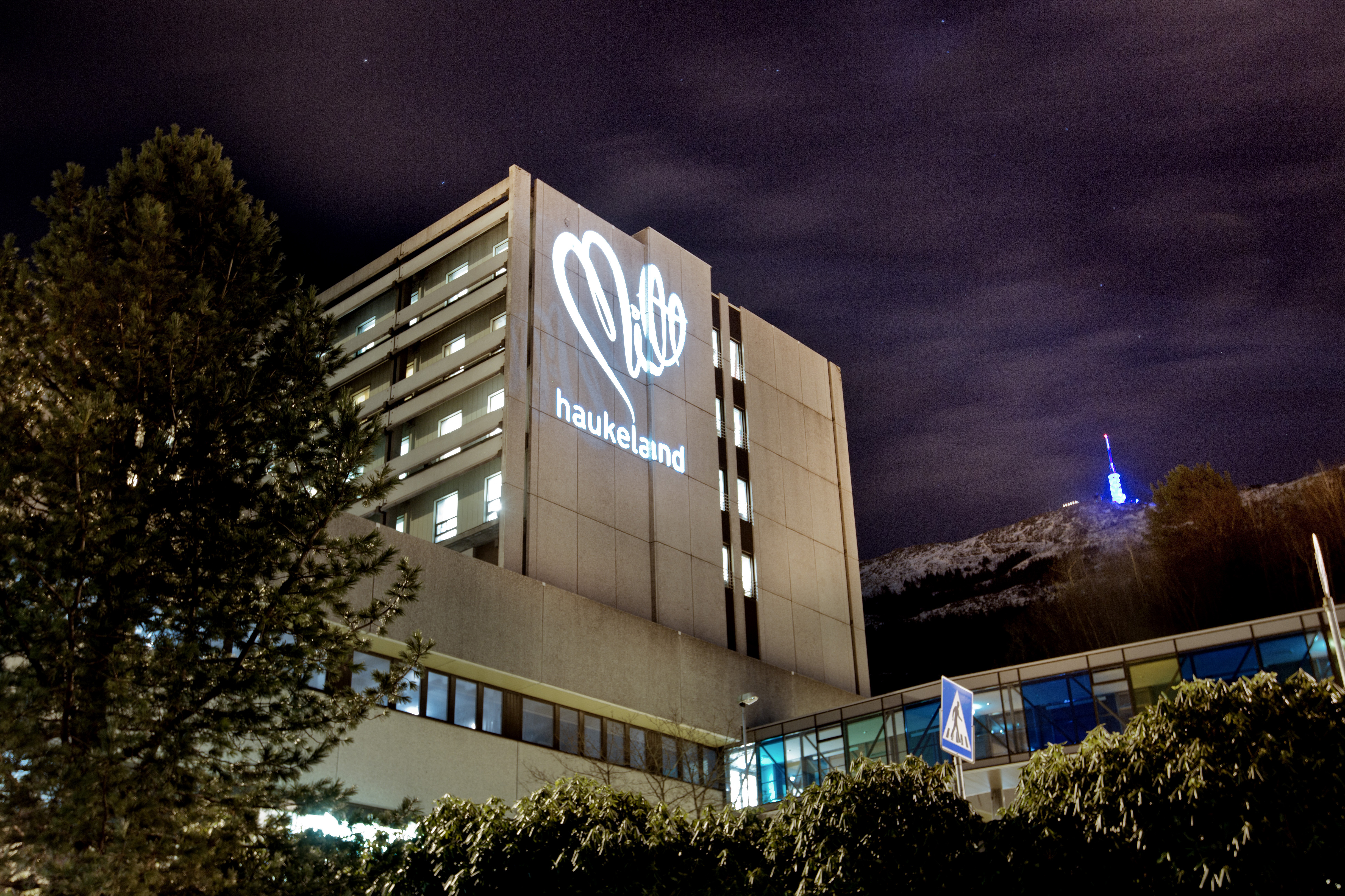 Mitt Haukeland. Foto.