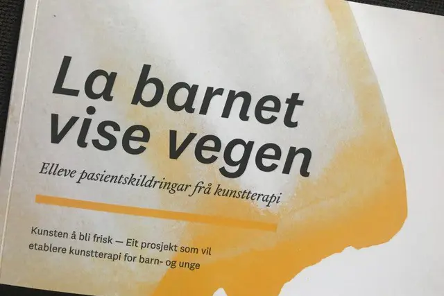 Omslaget av boka