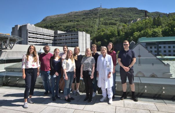 Gruppebilde forskergruppe. Foto