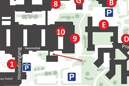 avd for patologi kart.jpg