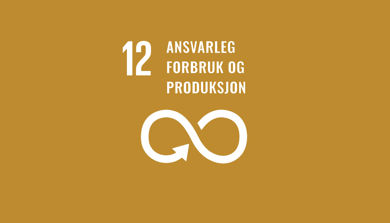 FNs berekraftsmål nummer 12 - Ansvarleg forbruk og produksjon. Grafikk