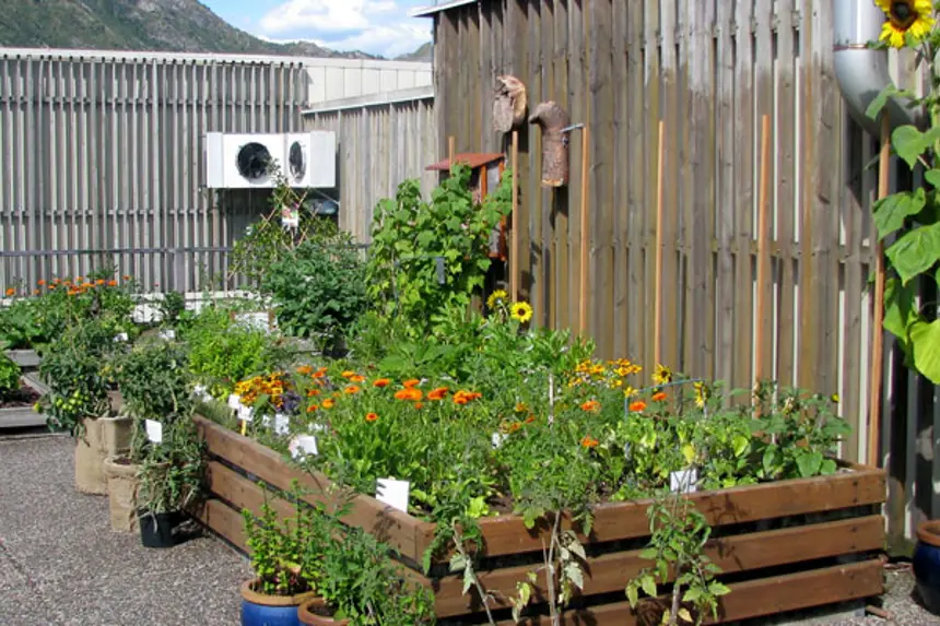 Blomsterbed på sjukehustaket. Foto