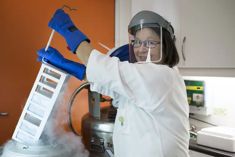 Tilsett med forskingsmateriale og nitrogenfrysar. Foto