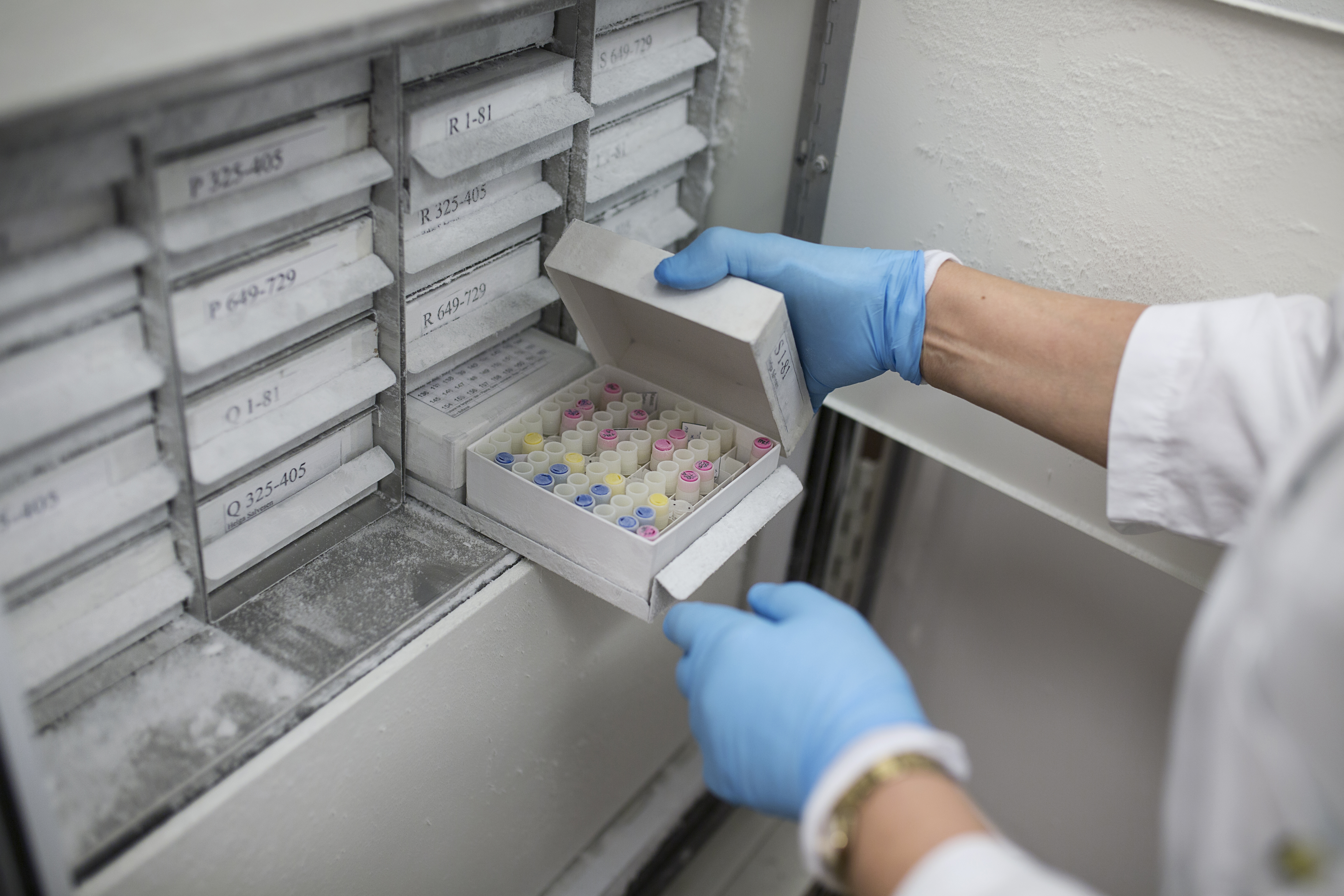 Forskingsprøver i biobank. Foto