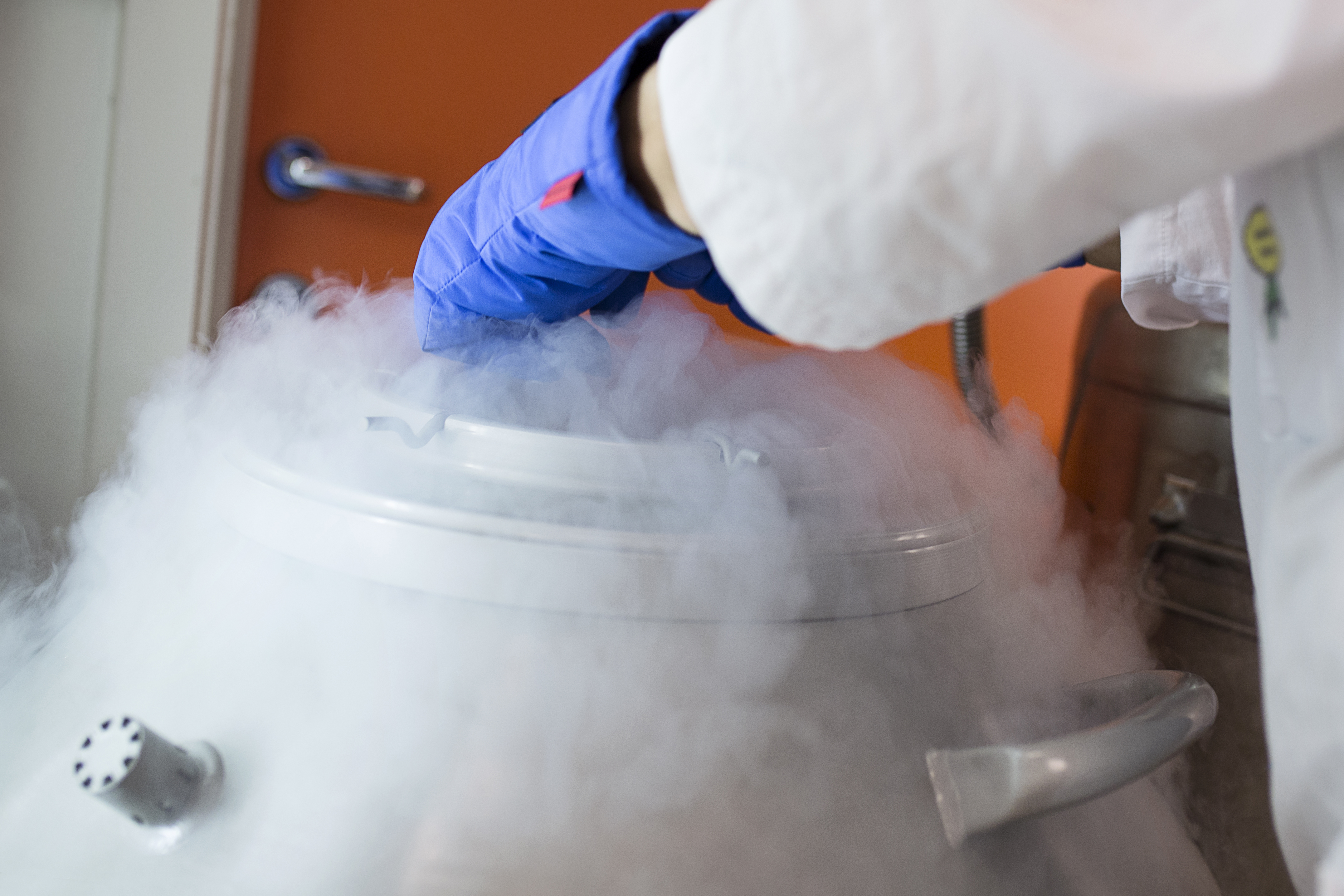 Forskingsmateriale i nitrogenfrysar. Foto