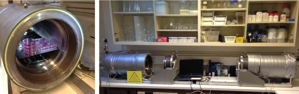 Hyperbart cellelaboratorium