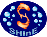 Logo Shine