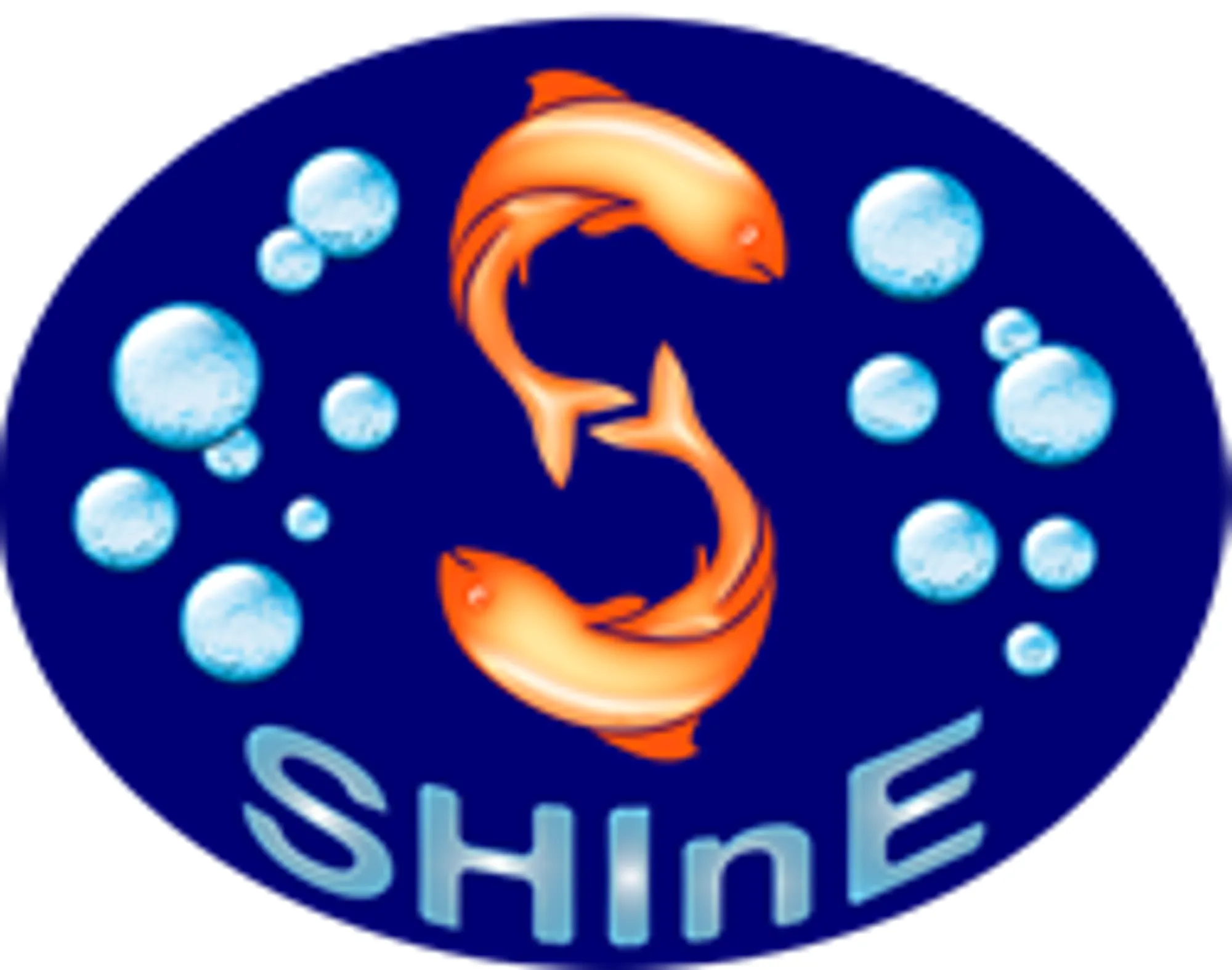 Logo Shine
