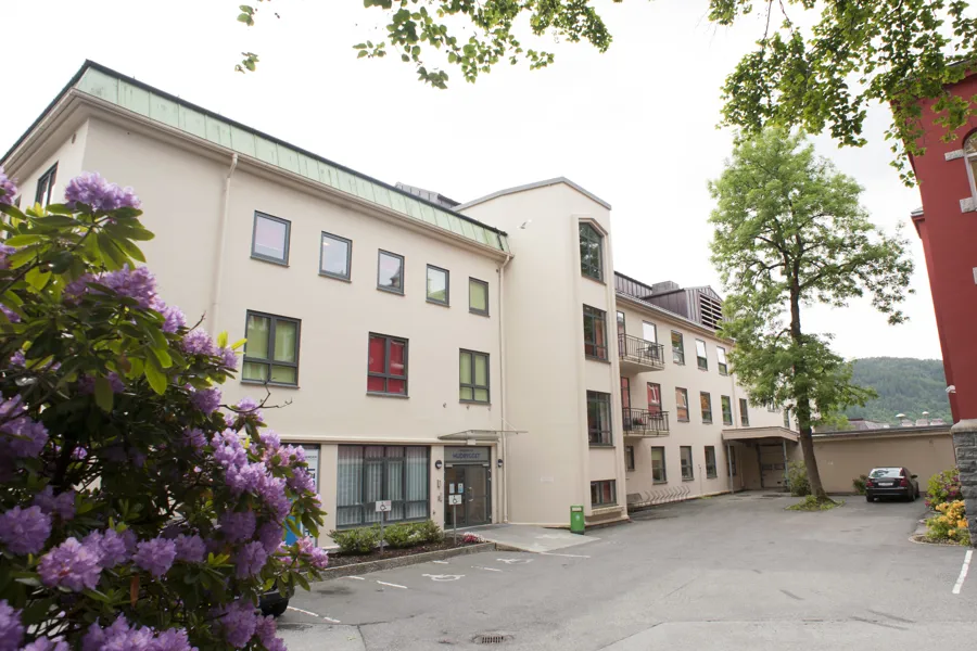 hudbygget.sommer. foto