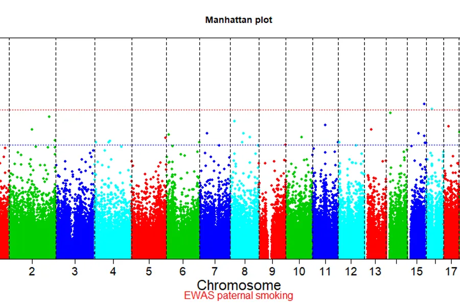 Image epigenetics