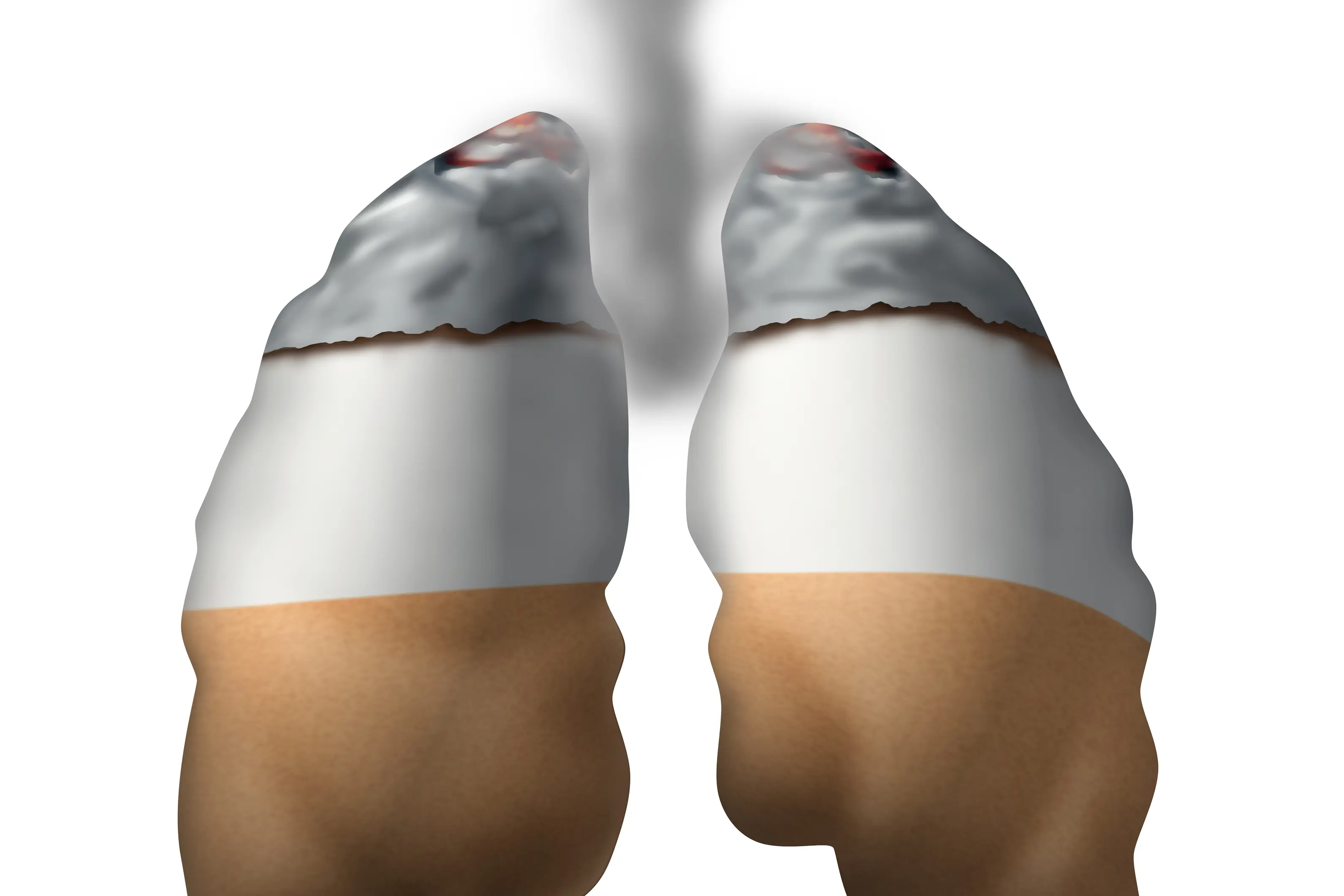 Picture of smoking lungs. Illustration
