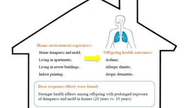 Illustration showing home environment exposures and offspring health outcomes and findings.