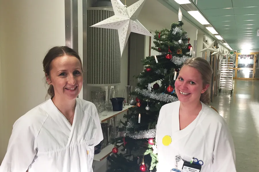 Et par kvinner foran et juletre