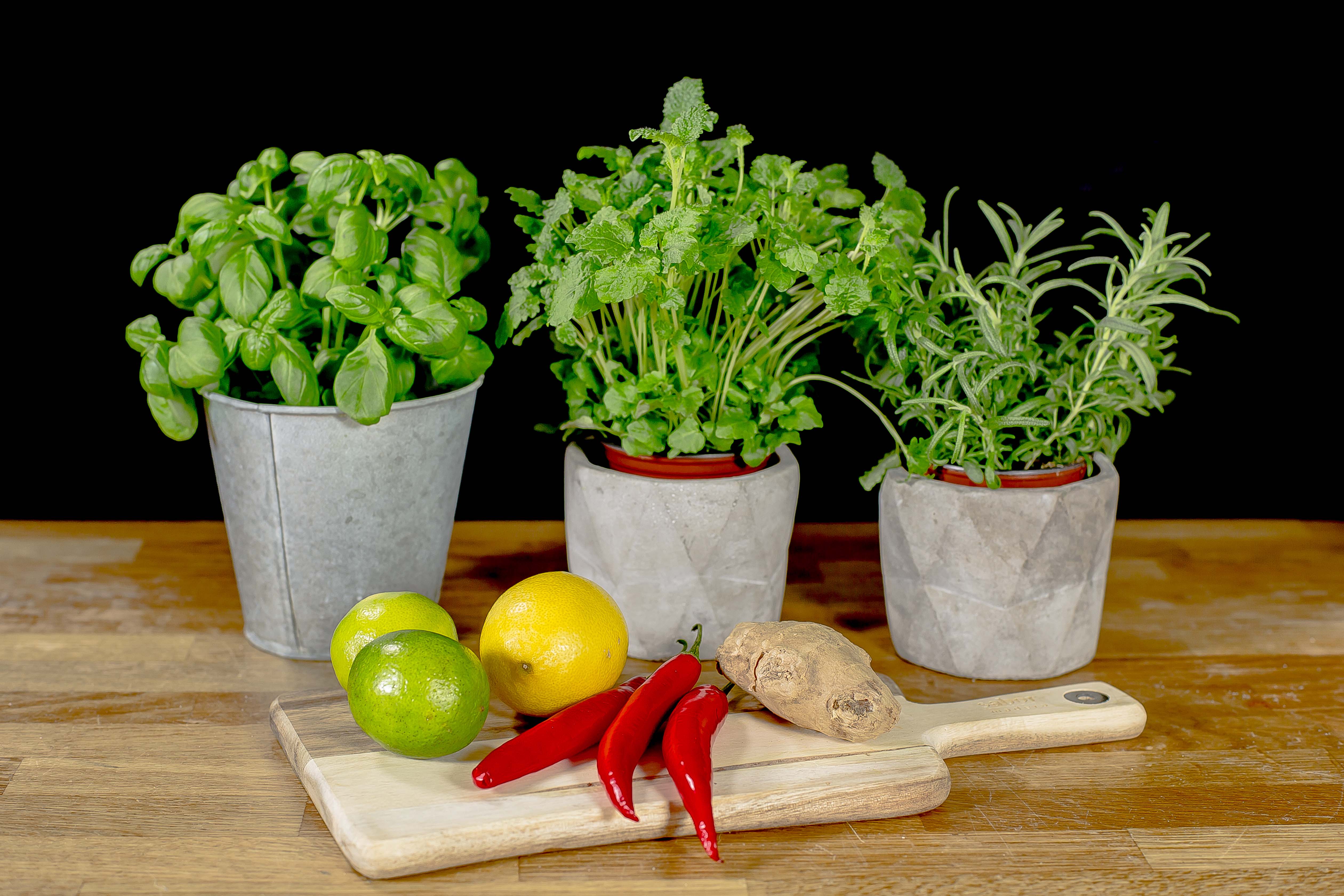 A group of plants and vegetables on a cutting board