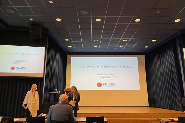 A person giving a presentation