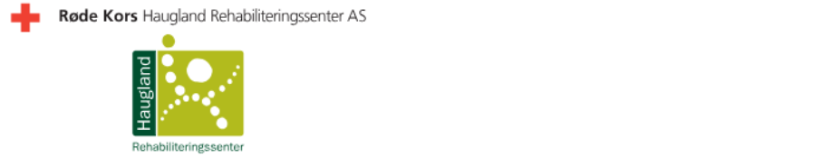 Grafisk brukergrensesnitt