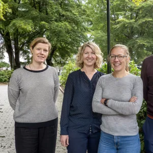 Marianne Warloe, Eldfrid Nerland Haukenes, Benedicte Djupesland og Thomas Omdal