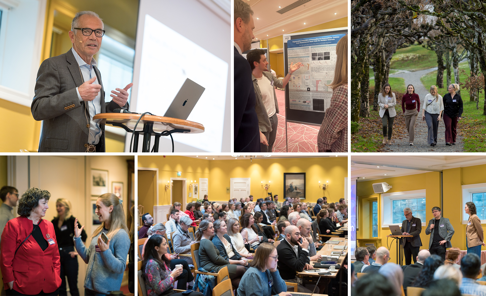 A collage of various situations at the symposium, such as speakers on stage, poster presentation, people walking in the park in breaks, people discussing in the halls in breaks, the audience in the conference room.