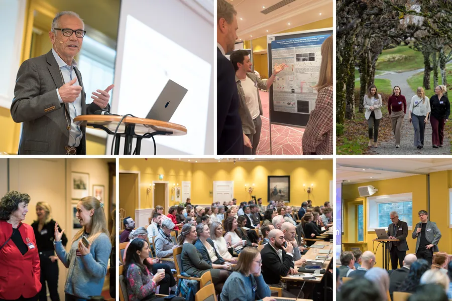 Ein collage av ymse situasjonar på symposiet. Talarar på scena, psoterpresentasjon, folk ute i parken i pausane, folk som diskuterar i pausane, publikum i salen