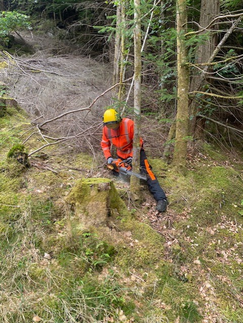 En person i gul jakke på en stein i skogen