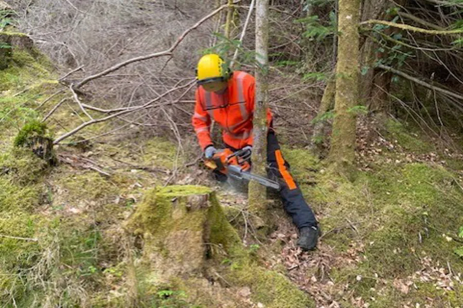 En person i gul jakke på en stein i skogen