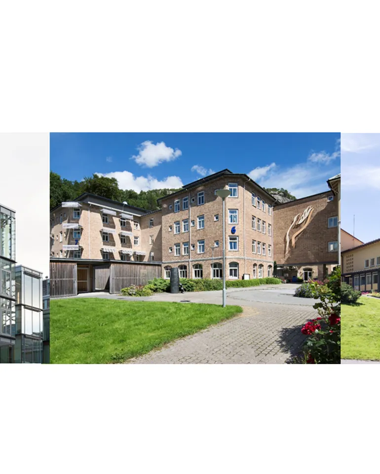 En collage av bygninger