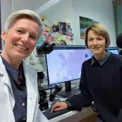 Et par kvinner som smiler