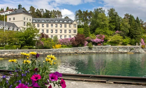 En dam med blomster og bygninger i bakgrunnen