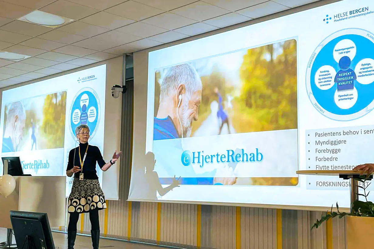 Grafisk brukergrensesnitt