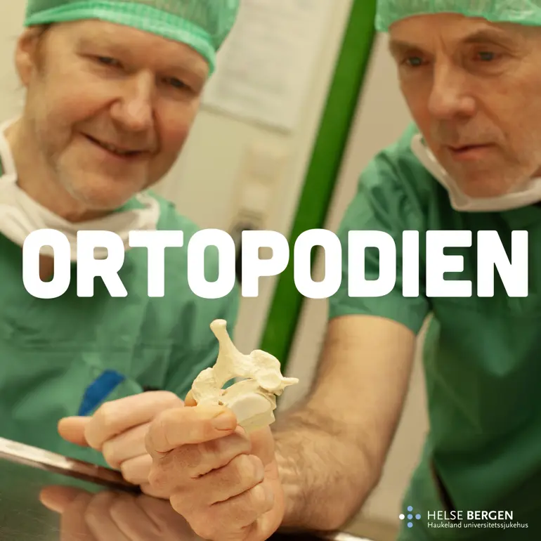 Bilete av Jonas og Ivar som ser på ein del av ein ryggrad
