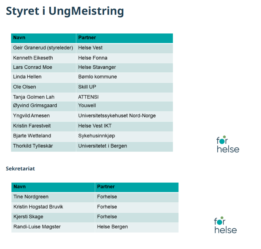 Styret i UngMeistring