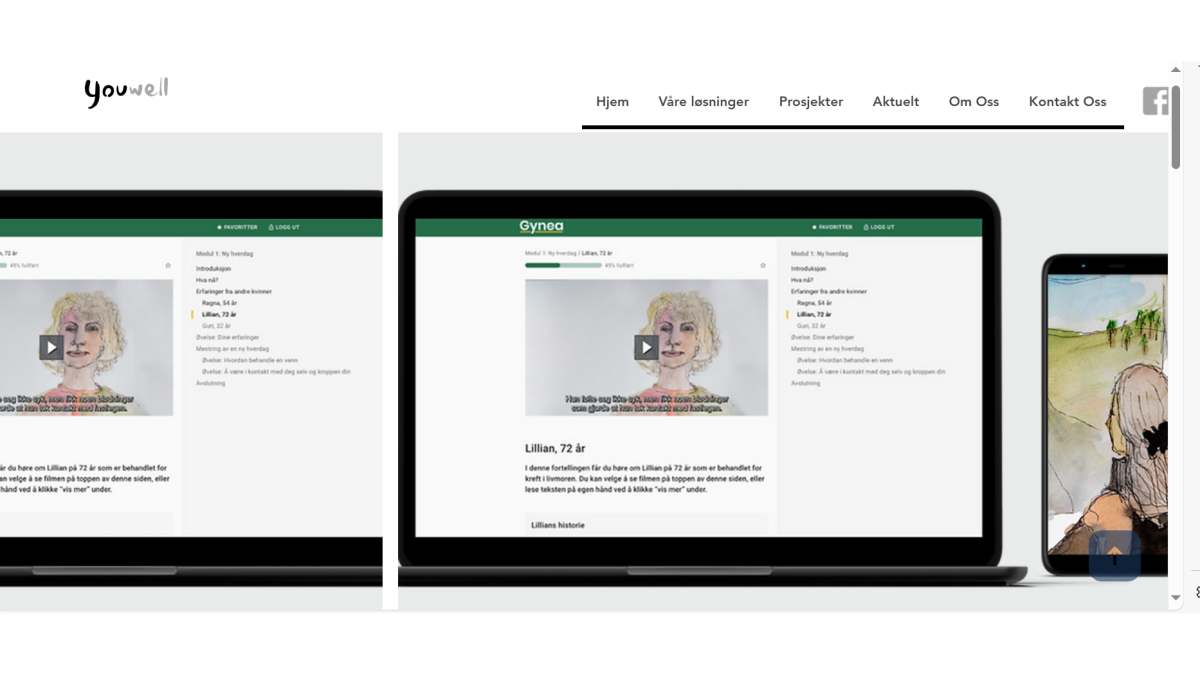 Grafisk brukergrensesnitt, nettside