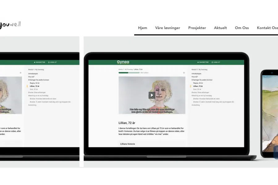 Grafisk brukergrensesnitt, nettside