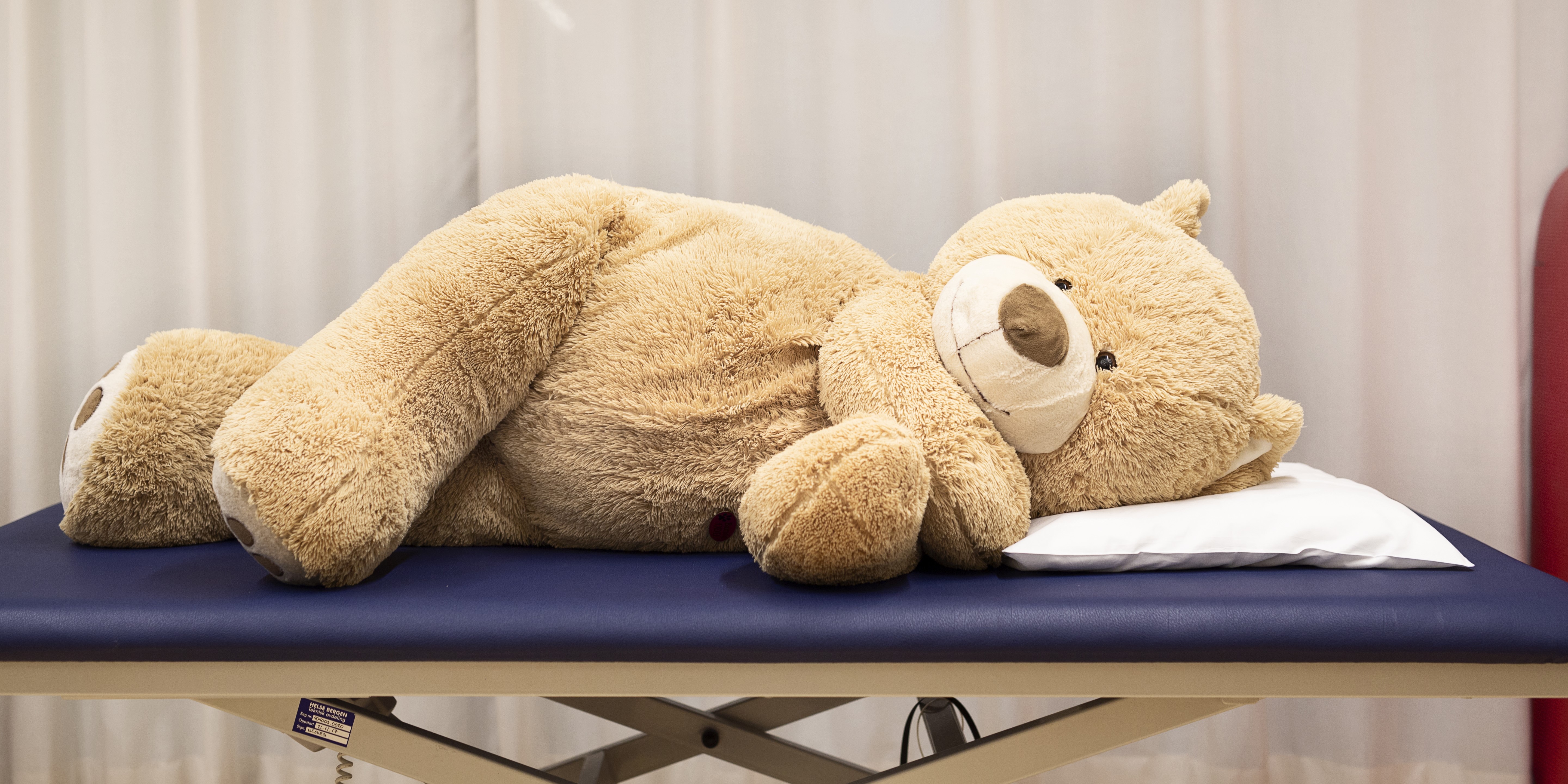 Et par bamser på et bord