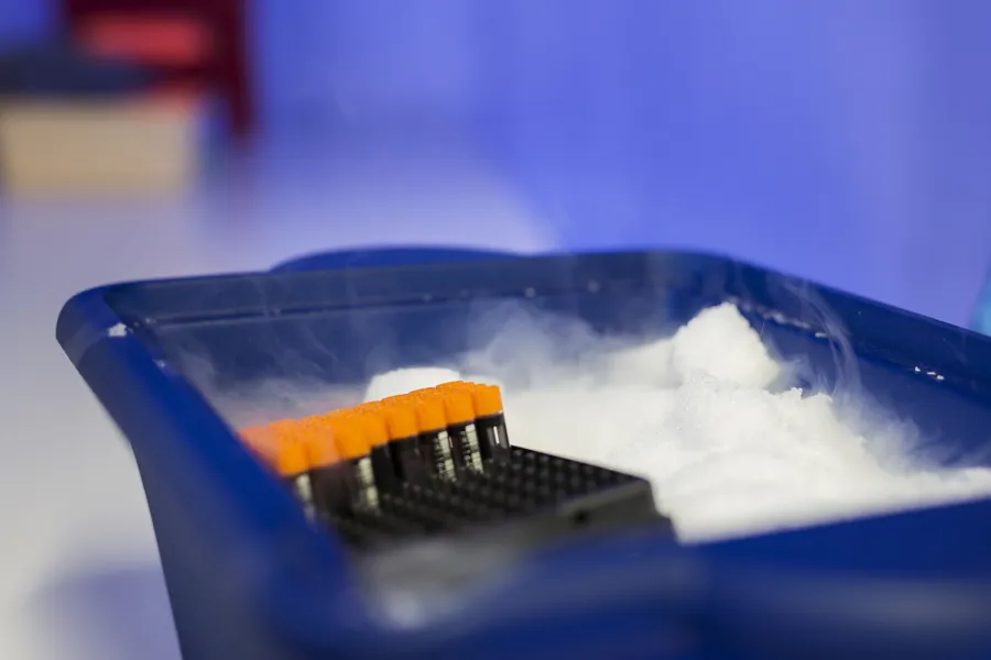 Plastkasse med blodprøver